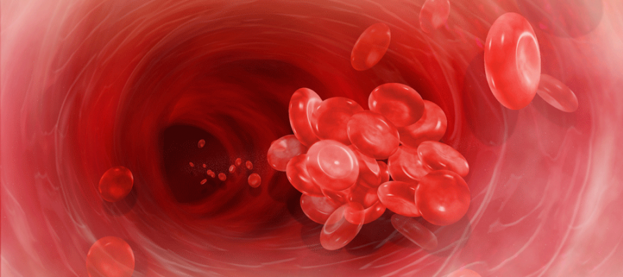 Cluster of red blood cells