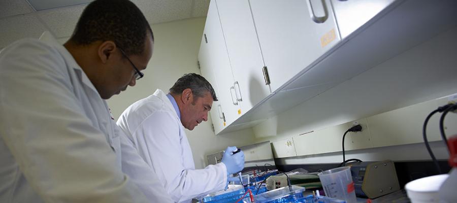 Walter J. Koch, PhD working in research lab