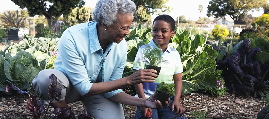 Grandmother gardening with her grandson