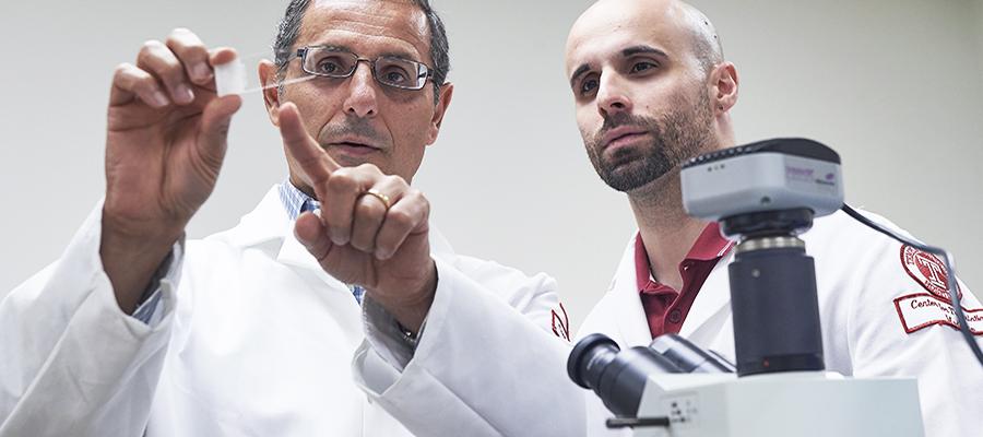 Neuroscience researchers reviewing sample