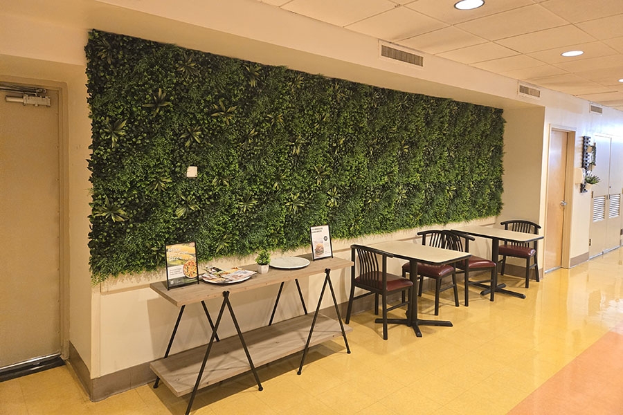 Chestnut Hill Hospital cafeteria grass wall