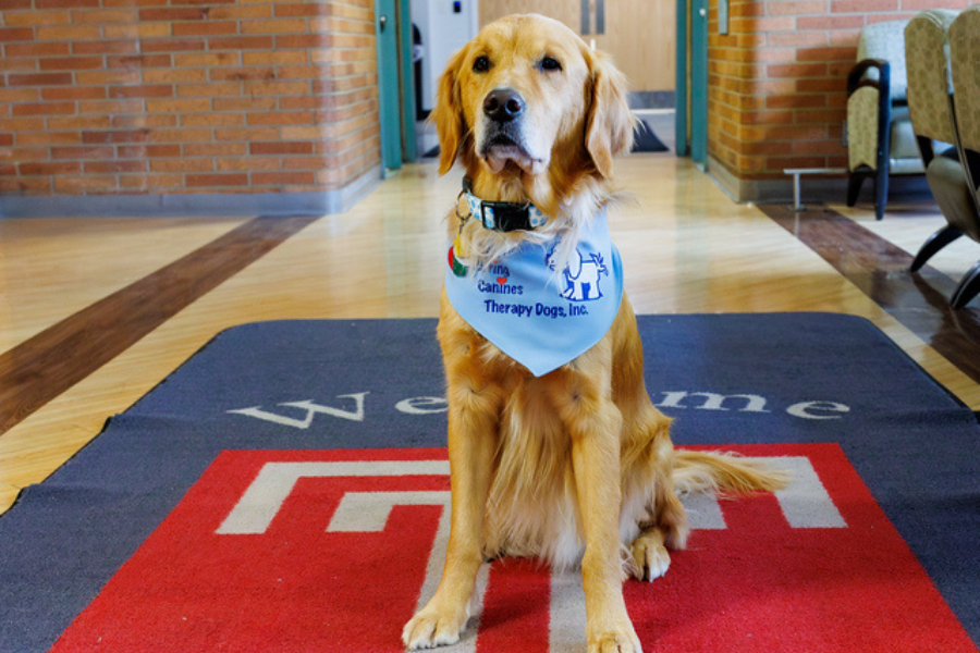 Berni has already made a significant impact: “So many of our patients have been pet owners, and seeing Berni was very therapeutic for them,” says Behavioral Health and Recreational Therapist Jean Francois Feristin. 