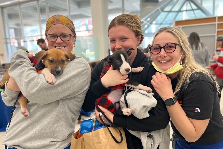 No one could get enough of these puppies—and it’s easy to see why!