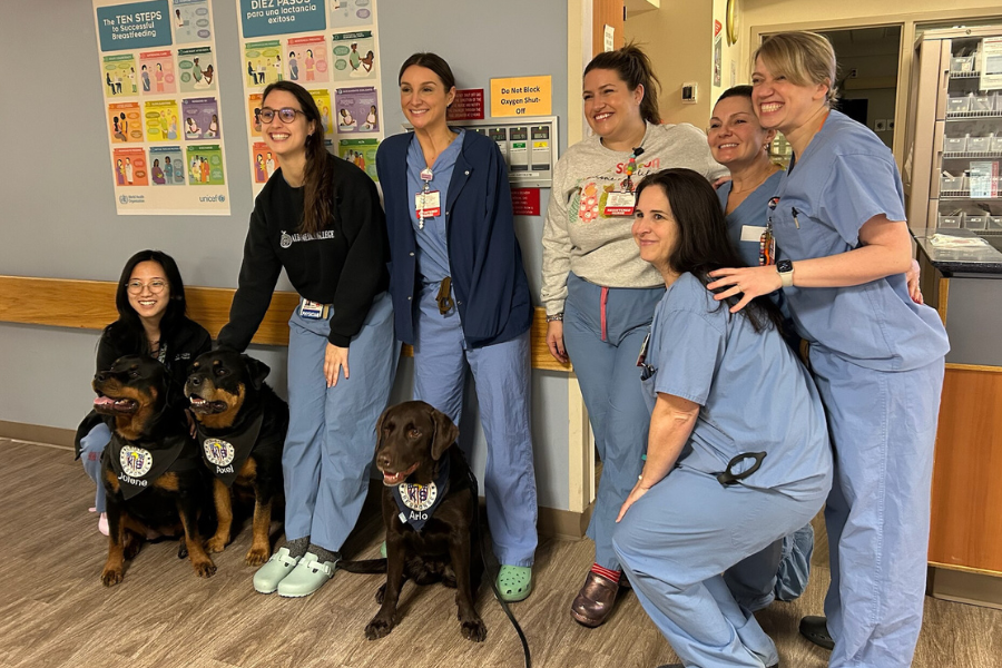 Spending time with Arlo, Jolene, and Axel was the highlight of these team members’ day. 