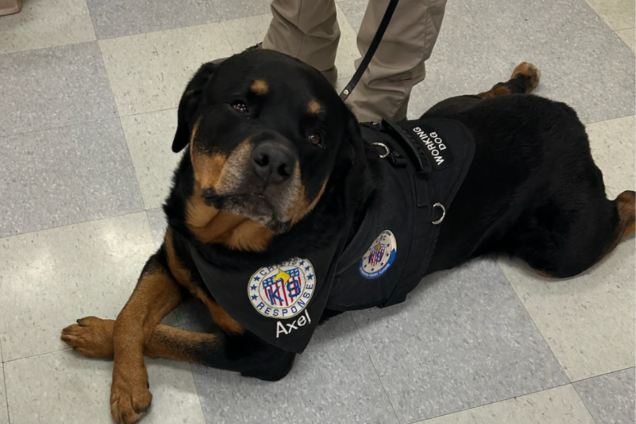 Crisis Response Canine Axel sure knows how to pose!