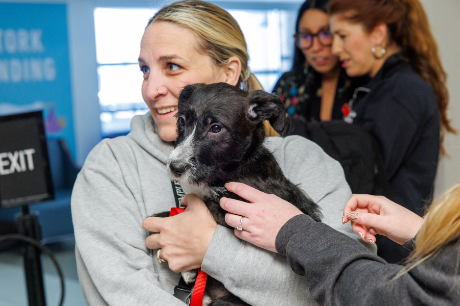 This puppy may look solemn, but he was actually thrilled to meet so many new friends!