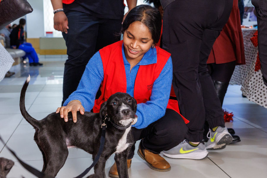 This puppy really knew how to show off for the camera.