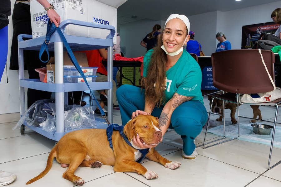 Our TUH-Main Campus employees loved getting quality time with these furry friends—all available for adoption at local rescues!