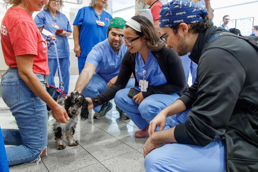 Our TUH-Main Campus employees loved getting quality time with these furry friends—all available for adoption at local rescues!