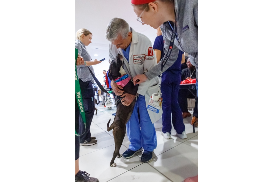 Our TUH-Main Campus employees loved getting quality time with these furry friends—all available for adoption at local rescues!