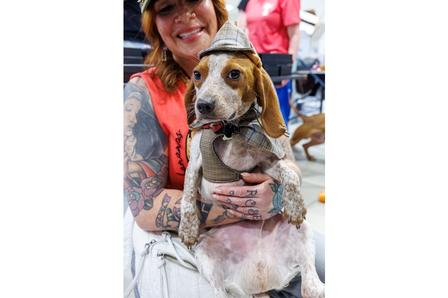 Our TUH-Main Campus employees loved getting quality time with these furry friends—all available for adoption at local rescues!