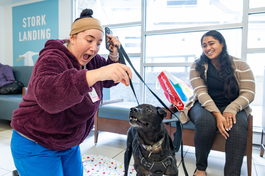 Snapshots from our annual Puppies and Pumpkins event.