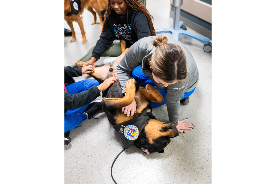 Exclusive photos from @thedogist’s visit to campus!