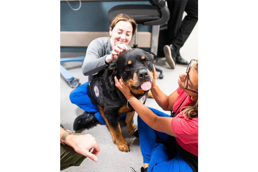 Exclusive photos from @thedogist’s visit to campus!