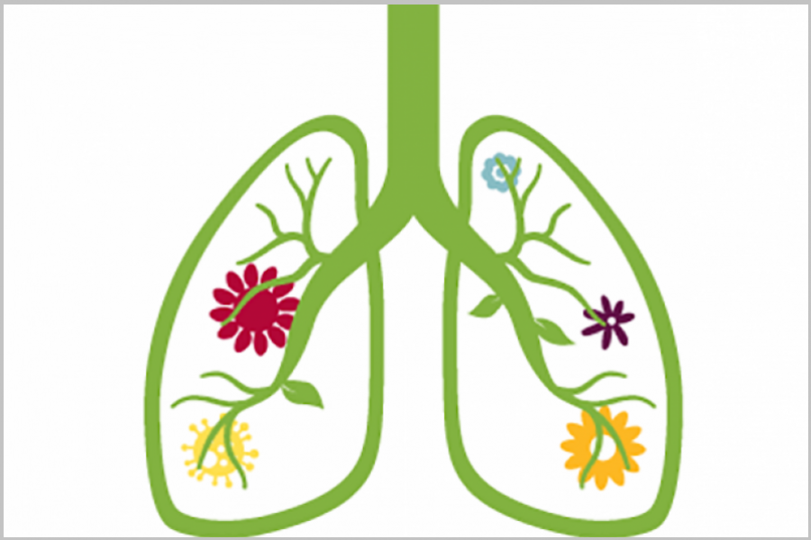 Colorful illustration of lungs