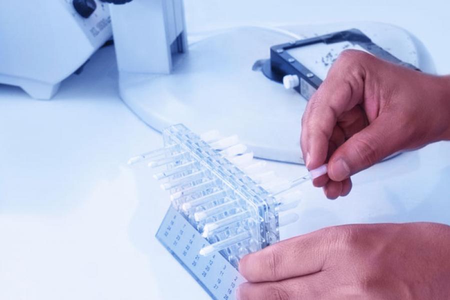 Doctor checking a sample in the lab