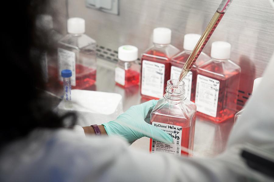 Lab researcher testing samples