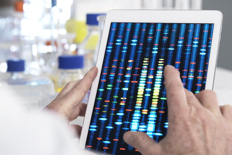 Physician reviews research on tablet