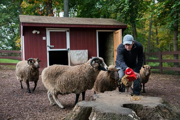 Donald feeding the animals on his farm
