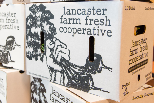 Lancaster farm fresh cooperative box