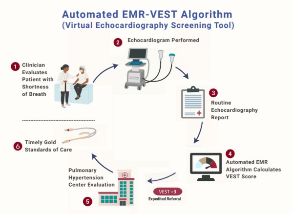 This graphic illustrates how patients are screened and referred for care using VEST.