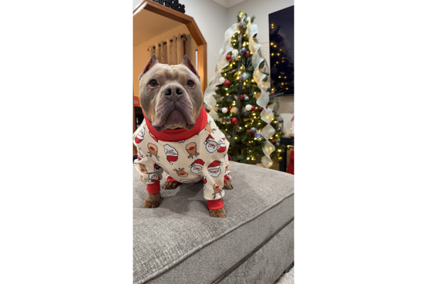 Mac at home with Amber in his holiday PJs.