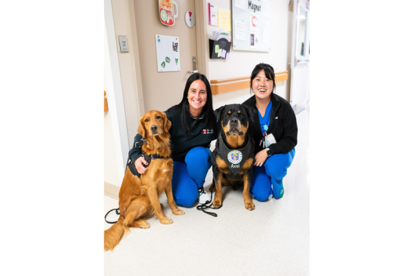Temple Health team members with Crisis Response Canines Lincoln (left) and Axel (right) during @thedogist’s visit.