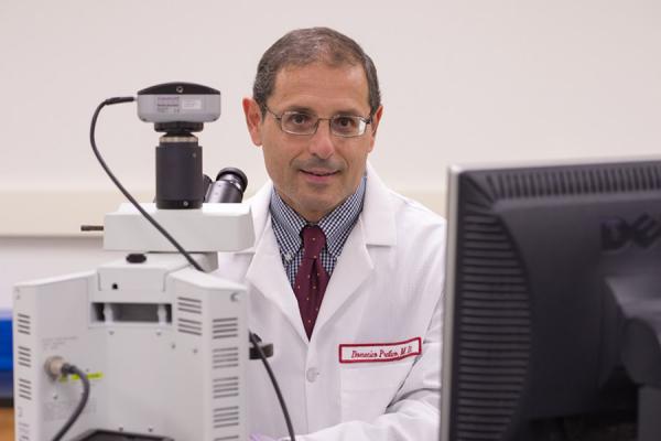 Domenico Praticò, MD in the lab